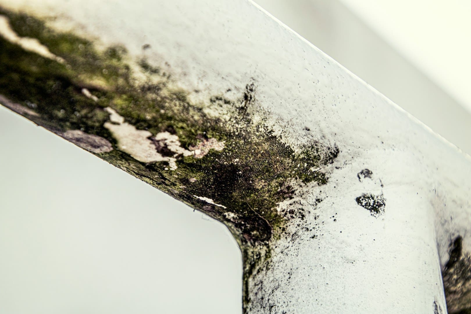 a close up of a piece of metal with moss growing on it
