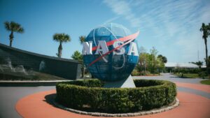 Tato běžná pokojovka má neuvěřitelné schopnosti. NASA to ví už přes 30 let