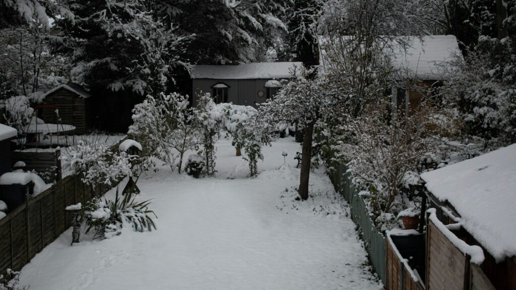 a snow covered yard with trees and bushes