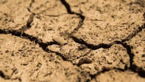 Zimní orba škodí půdě víc, než si většina z nás uvědomuje