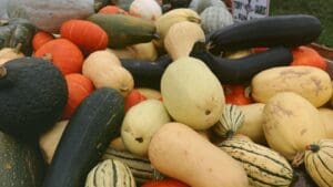 „Kdybych to všechno snědl, zemřel bych“: Tato zelenina může způsobit náhlou a těžkou otravu