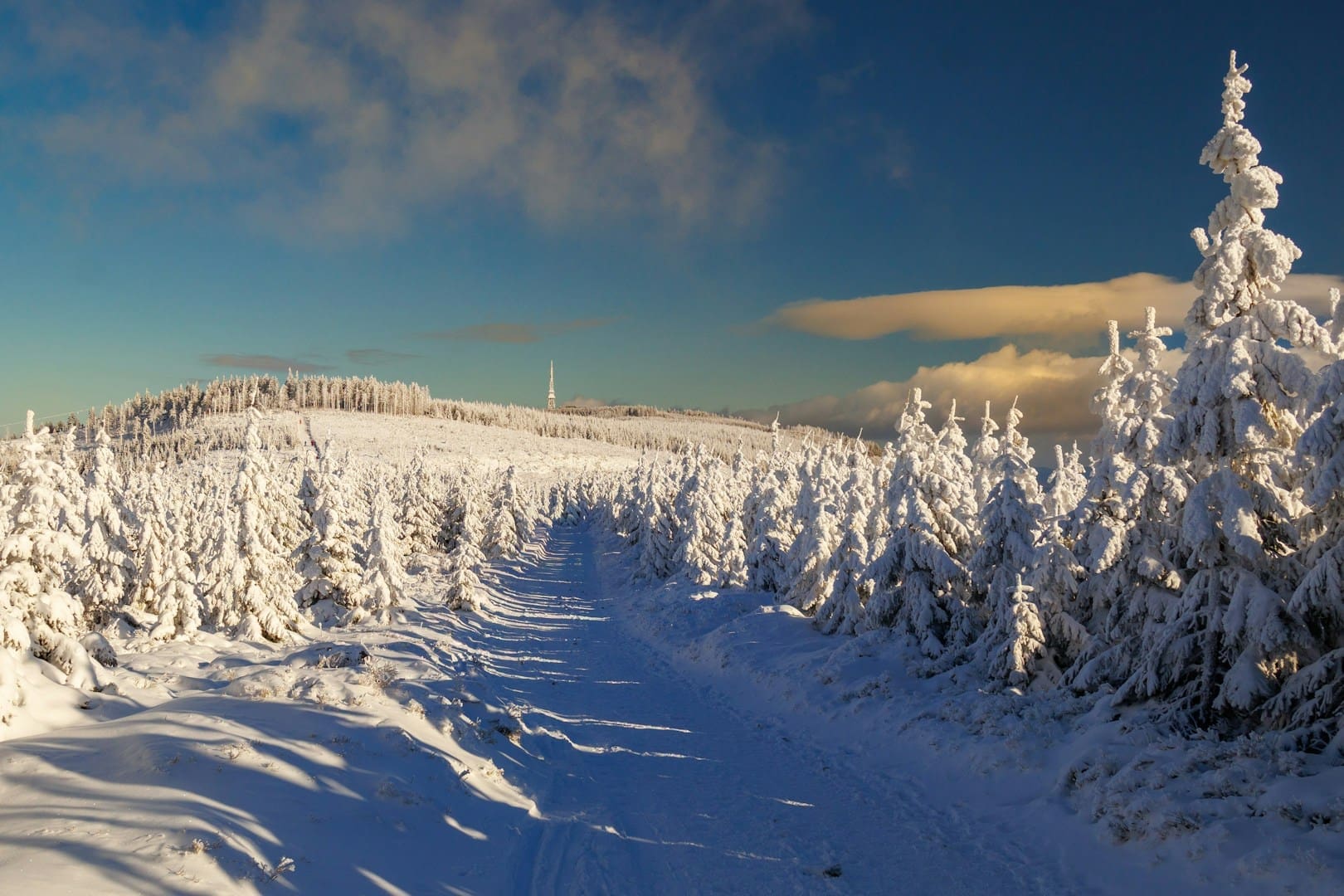 Snowy forest path under a bright blue sky.